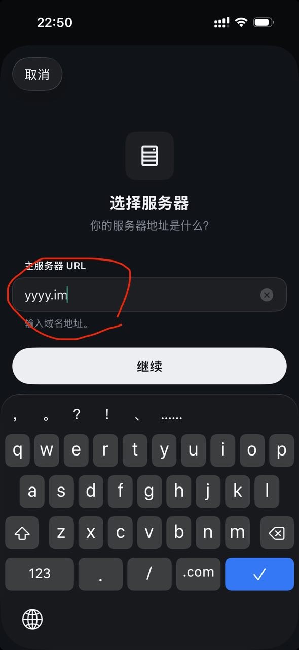 输入服务器地址 yyyy.im 并点击继续